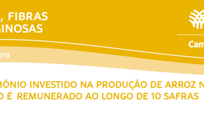 RESULTADOS ECONÔMICOS DA PRODUÇÃO DE ARROZ EM URUGUAIANA-RS