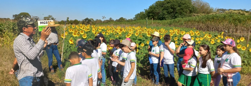 Alunos de Escola Municipal visitam campo de girassol da Ranchão