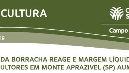 PREÇO DA BORRACHA REAGE E MARGEM LÍQUIDA DE HEVEICULTORES EM MONTE APRAZIVEL (SP) AUMENTA