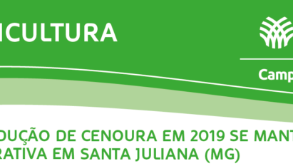 SITUAÇÃO ECONÔMICA DA PRODUÇÃO DE CENOURA EM SANTA JULIANA-MG