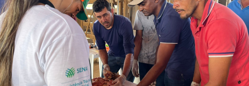 Produtores de leite atendidos pela ATeG em Sergipe realizam curso de inseminação artificial