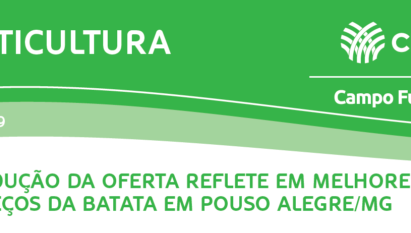 REDUÇÃO DA OFERTA REFLETE EM MELHORES PREÇOS DA BATATA EM POUSO ALEGRE/MG