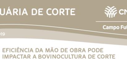 EFICIÊNCIA DA MÃO DE OBRA PODE IMPACTAR A BOVINOCULTURA DE CORTE