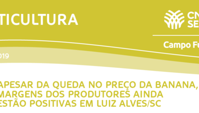 APESAR DA QUEDA NO PREÇO DA BANANA, MARGENS DOS PRODUTORES AINDA ESTÃO POSITIVAS EM LUIZ ALVES/SC