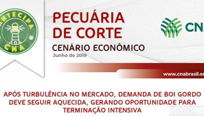 APÓS TURBULÊNCIA NO MERCADO, DEMANDA DE BOI GORDO DEVE SEGUIR AQUECIDA, GERANDO OPORTUNIDADE PARA TERMINAÇÃO INTENSIVA