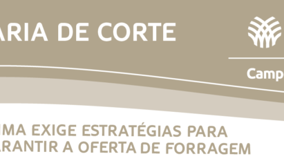 CLIMA EXIGE ESTRATÉGIAS PARA GARANTIR A OFERTA DE FORRAGEM