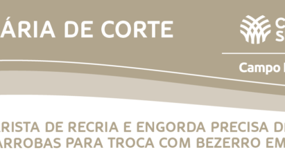 PECUARISTA DE RECRIA E ENGORDA PRECISA DE MAIS ARROBAS PARA TROCA COM BEZERRO EM 2019