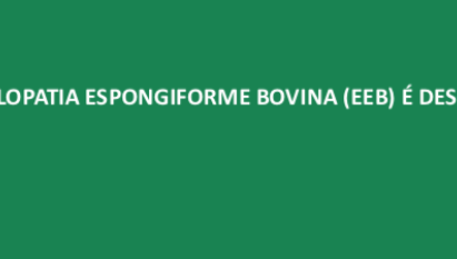 CASO TÍPICO DE ENCEFALOPATIA ESPONGIFORME BOVINA (EEB) É DESCARTADO NO BRASIL