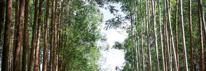 CNA defende o agro como solução para enfrentar o aquecimento global