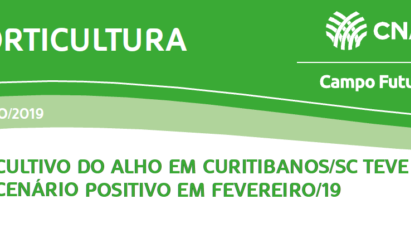 CULTIVO DO ALHO EM CURITIBANOS/SC TEVE CENÁRIO POSITIVO EM FEVEREIRO /19