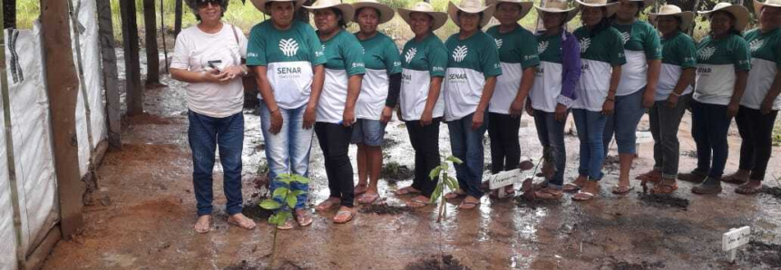 Comunidade Rosário Oeste resgata conhecimento sobre plantas medicinais