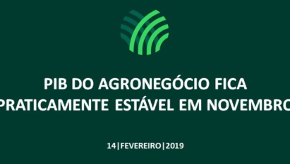 PIB DO AGRONEGÓCIO FICA PRATICAMENTE ESTÁVEL EM NOVEMBRO