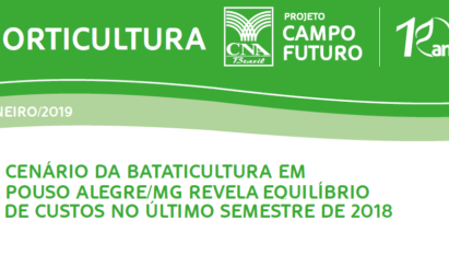 CUSTOS DA BATATICULTURA EM POUSO ALEGRE/MG NO ÚLTIMO SEMESTRE DE 2018”