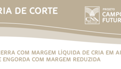 ANO SE ENCERRA COM CONTRASTES NA MARGEM LÍQUIDA DE CRIA, RECRIA E ENGORDA