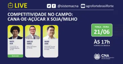 Fotos bi 12 210726 123130