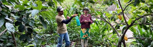 08 10 ago cine senar ribeiraozinho 10