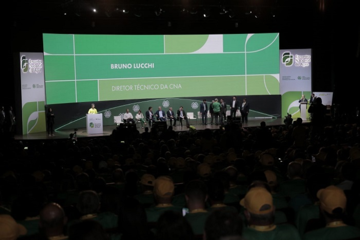 Cursos personalizados