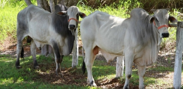 Whats App Image 2019 08 01 at 12 28 46