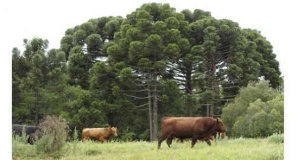 Whats App Image 2019 09 19 at 15 27 21