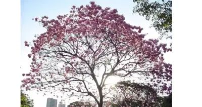 Banner conectividade