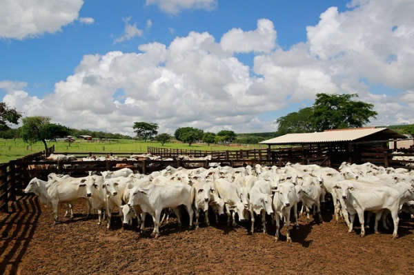 IMG 5311 191015 134516