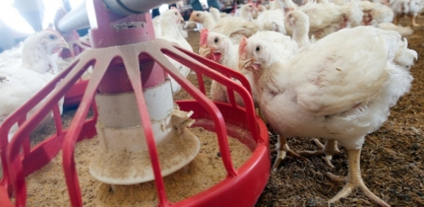 Save the date capacitacao comercial 1200x627px