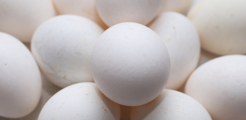 CNA IMAGEM PRINCIPAL14