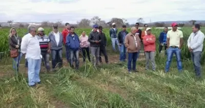 53515181990 98863a6dc3 c