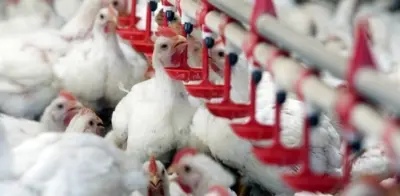 CNA IMAGEM PRINCIPAL7