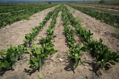 53688261619 f33e296d19 c