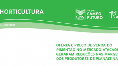 OFERTA E PREÇO DE VENDA DO PIMENTÃO NO MERCADO ATACADISTA GERARAM REDUÇÕES NAS MARGENS DOS PRODUTORES DE PLANALTINA/DF