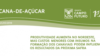 PRODUTIVIDADE AUMENTA NO NORDESTE, MAS CUSTOS MENORES COM INSUMOS NA FORMAÇÃO DOS CANAVIAIS PODEM  INFLUENCIAR OS RESULTADOS DA PRÓXIMA SAFRA