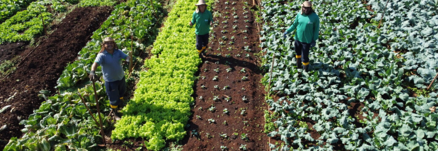 Farta e orgânica, horta se torna “cartão-postal” do CTA de Assis