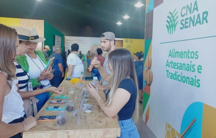 Homenagem 11 1536x864