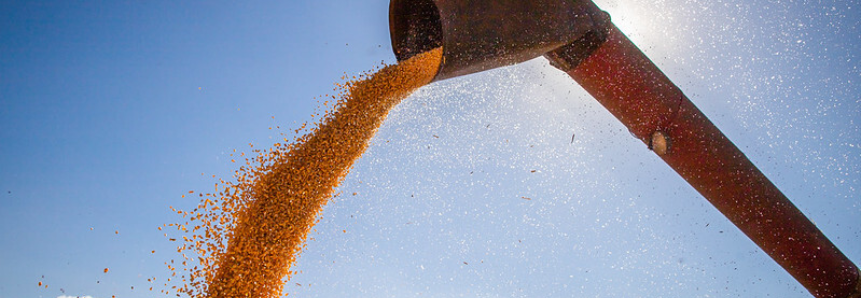 Campo Futuro levanta custos de produção na BA, GO, ES, MG e MS