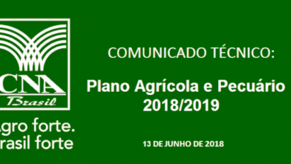 SÍNTESE DO PLANO AGRÍCOLA E PECUÁRIO 2018/2019