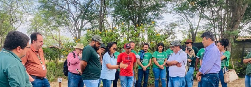 Senar e Embrapa promovem capacitação de técnicos e supervisores da ATeG na produção de sisal