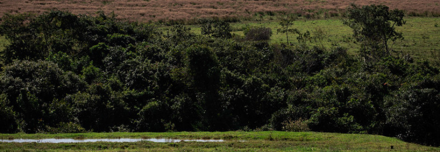 CNA lança programa para auxiliar produtores na retificação do Cadastro Ambiental Rural