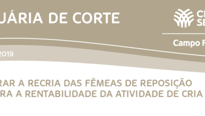 MARGEM DE LUCRO DA BOVINOCULTURA DE CORTE EM MATO GROSSO