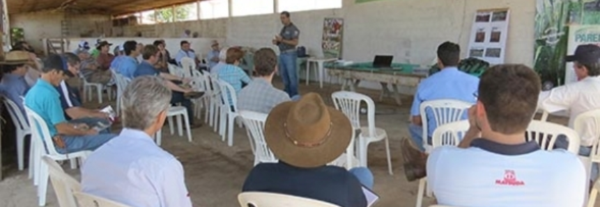 Dia de Campo do ABC Cerrado é realizado em Uberaba