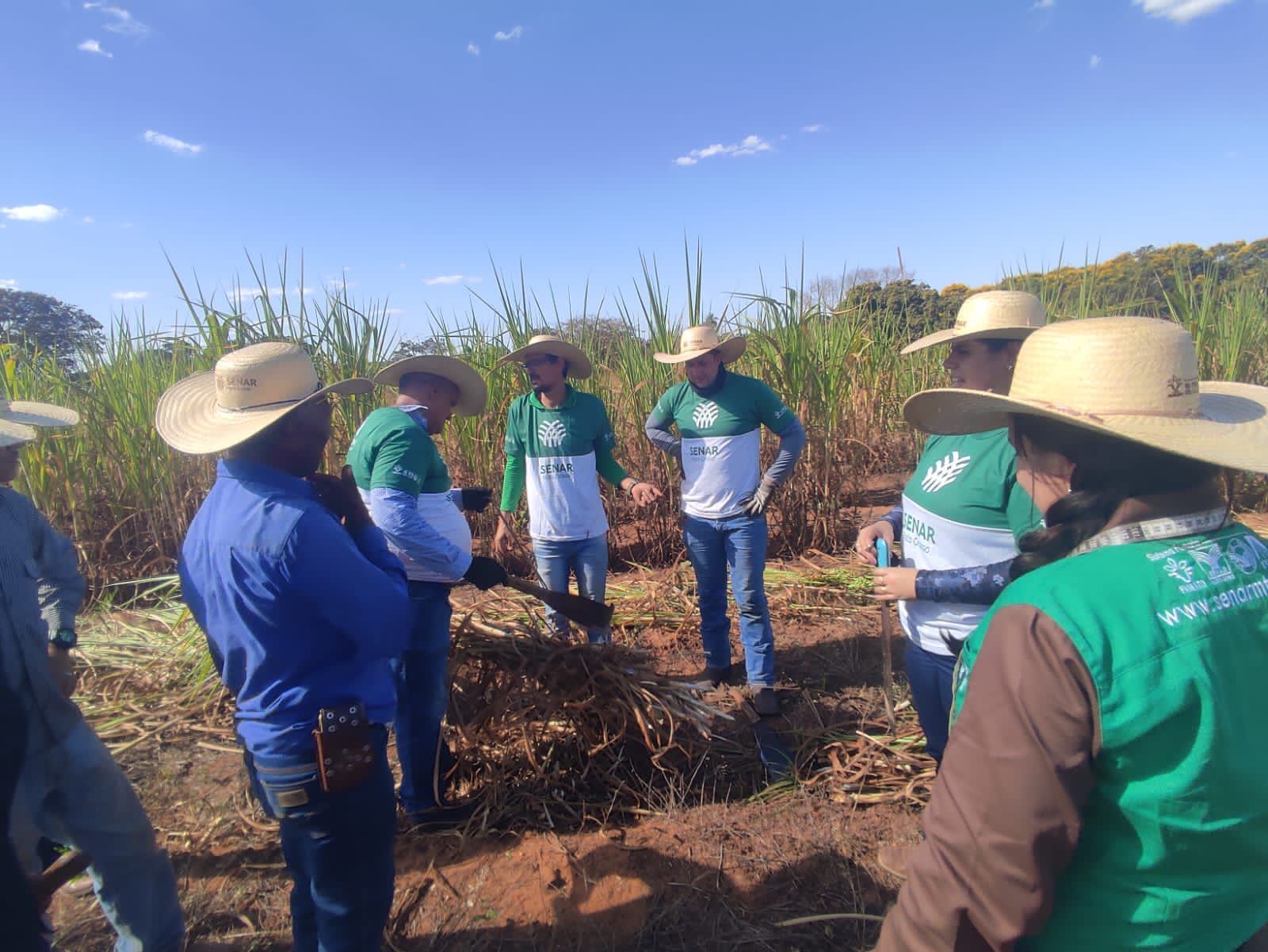 07 10 jul treinamento producao de silagem rondonopolis instrutora cleide 16