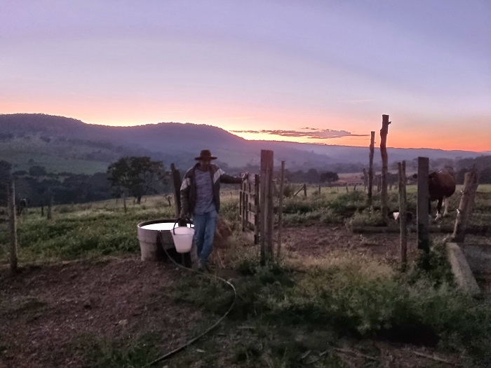 Seu Gervaso no amanhecer na propriedade