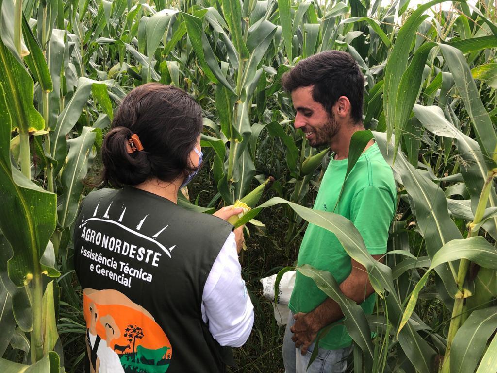 AGRONORDESTE SUCESSAO