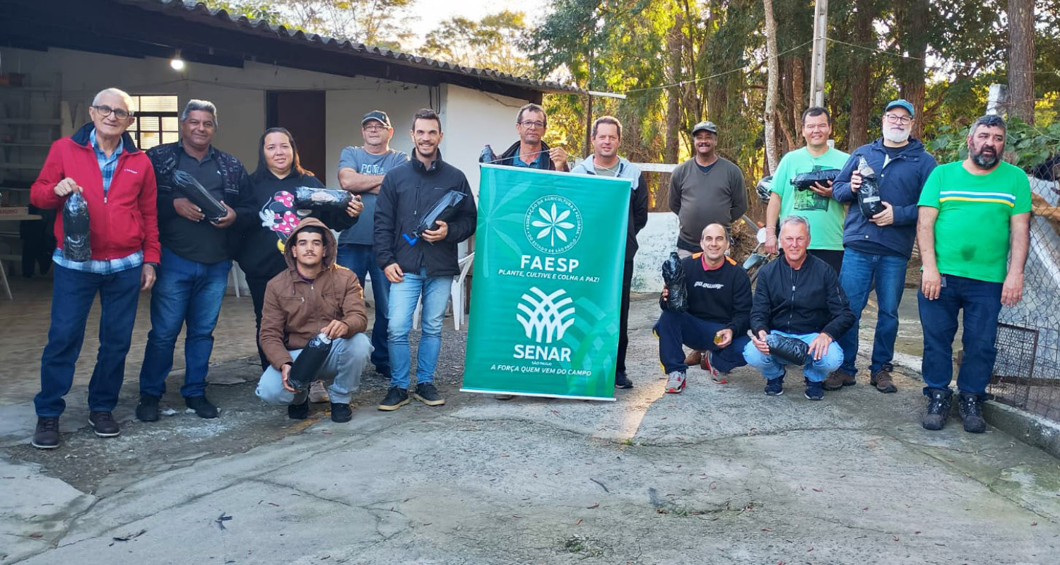 Curso de meliponicultora do Senar-SP traz conhecimento, conservação ambiental e renda para produtores