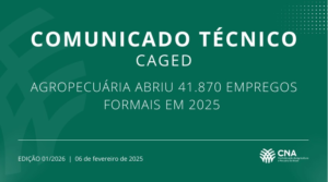 CNA publica análise dos dados do Caged em 2025