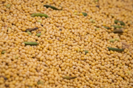 CNA defende aumento imediato da mistura de biodiesel ao óleo diesel para 17%