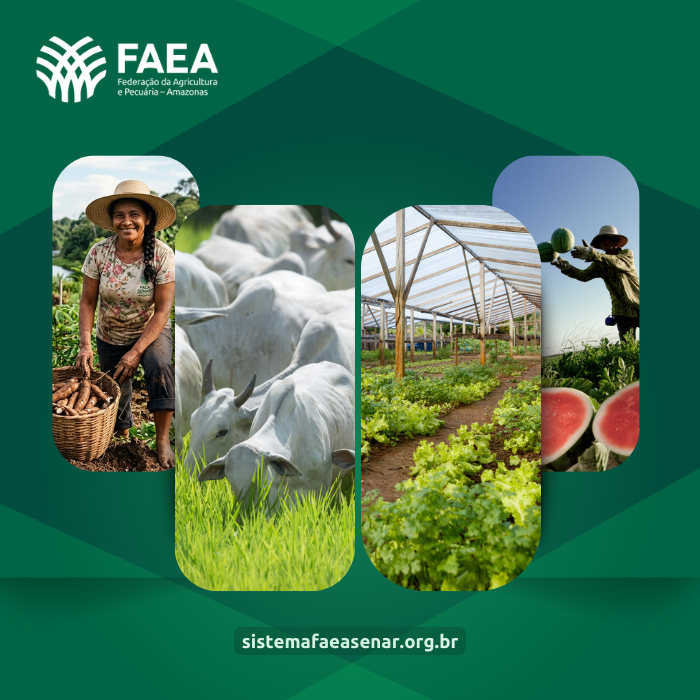 Federação da Agricultura e Pecuária do Amazonas celebra 72 anos de resistência na defesa do produtor rural amazonense