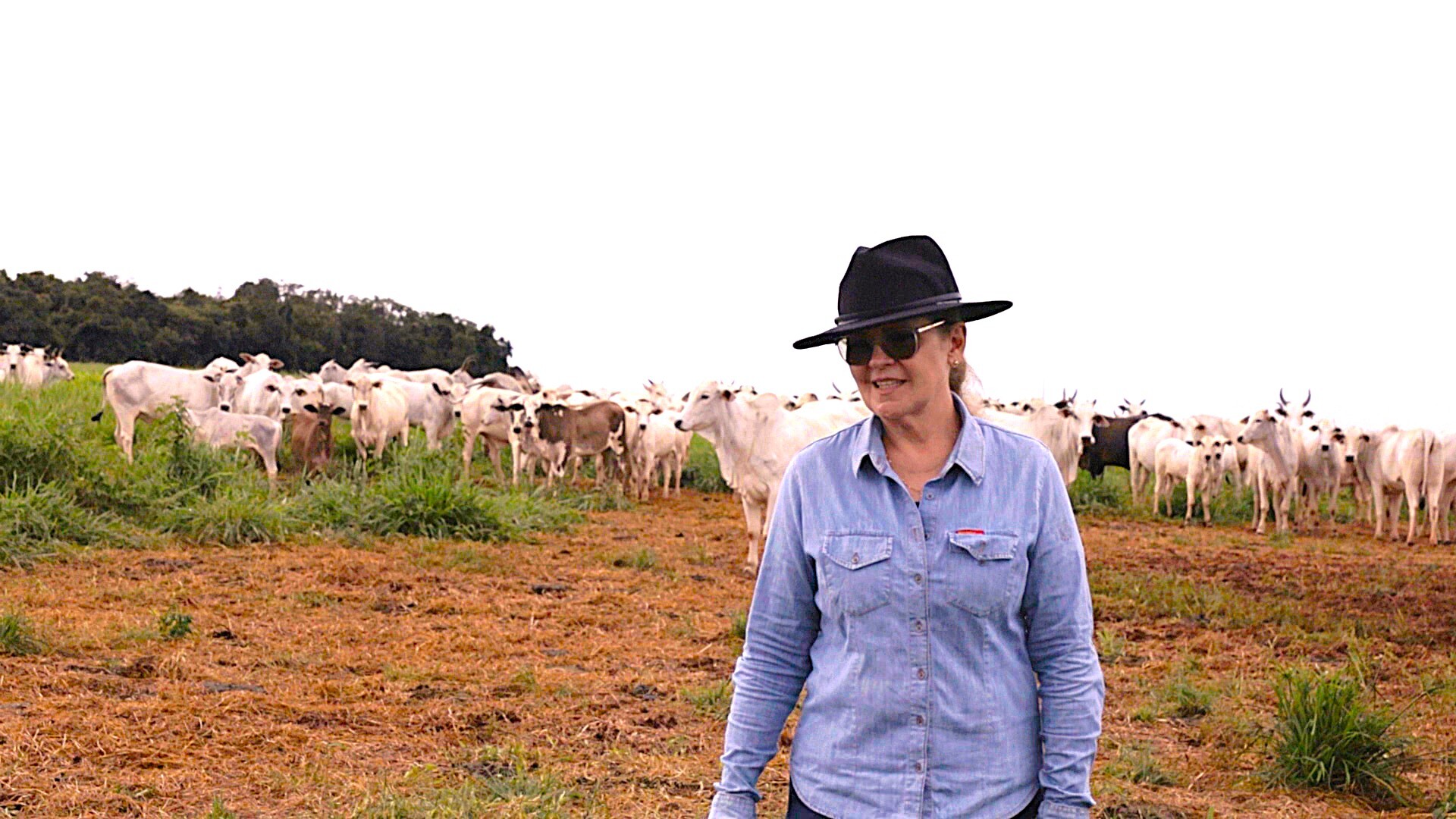 ATeG Inseminação leva tecnologia ao campo e transforma a pecuária