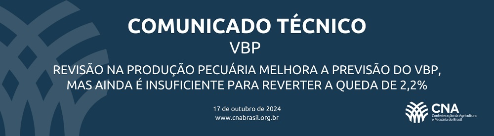 Comunicado Tecnico 41 2024 10 17 173817 staa