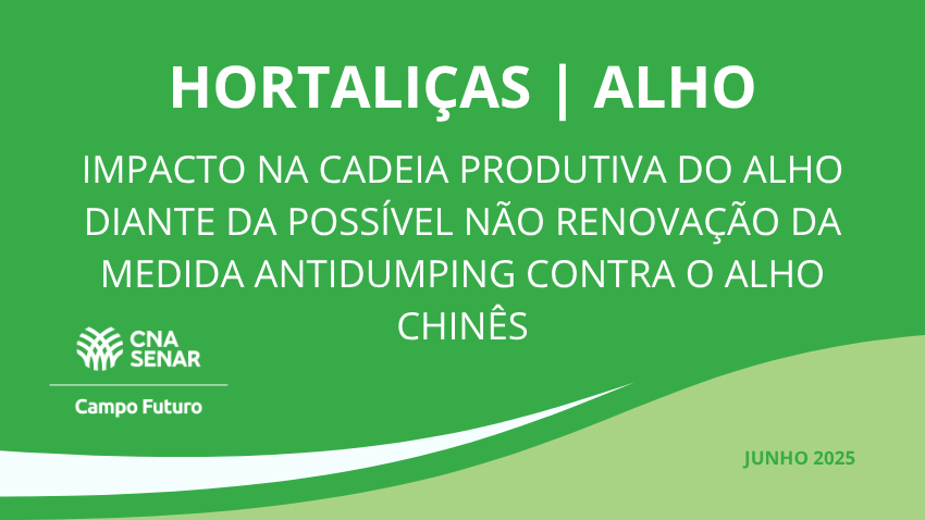 Impacto na cadeia produtiva do alho diante da possível não renovação da medida antidumping contra o alho chinês